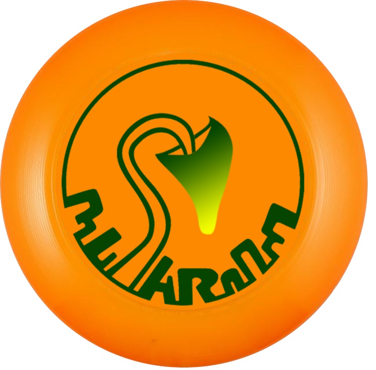Ultimate_frisbee_custom_disc_Orange