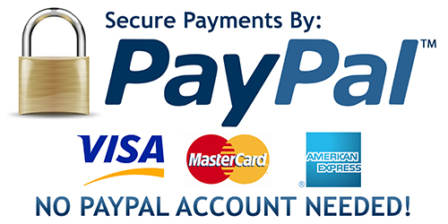 PayPal platba