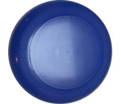 UltiPro-Blank Blue