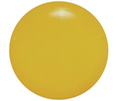 UltiPro-Blank Yellow